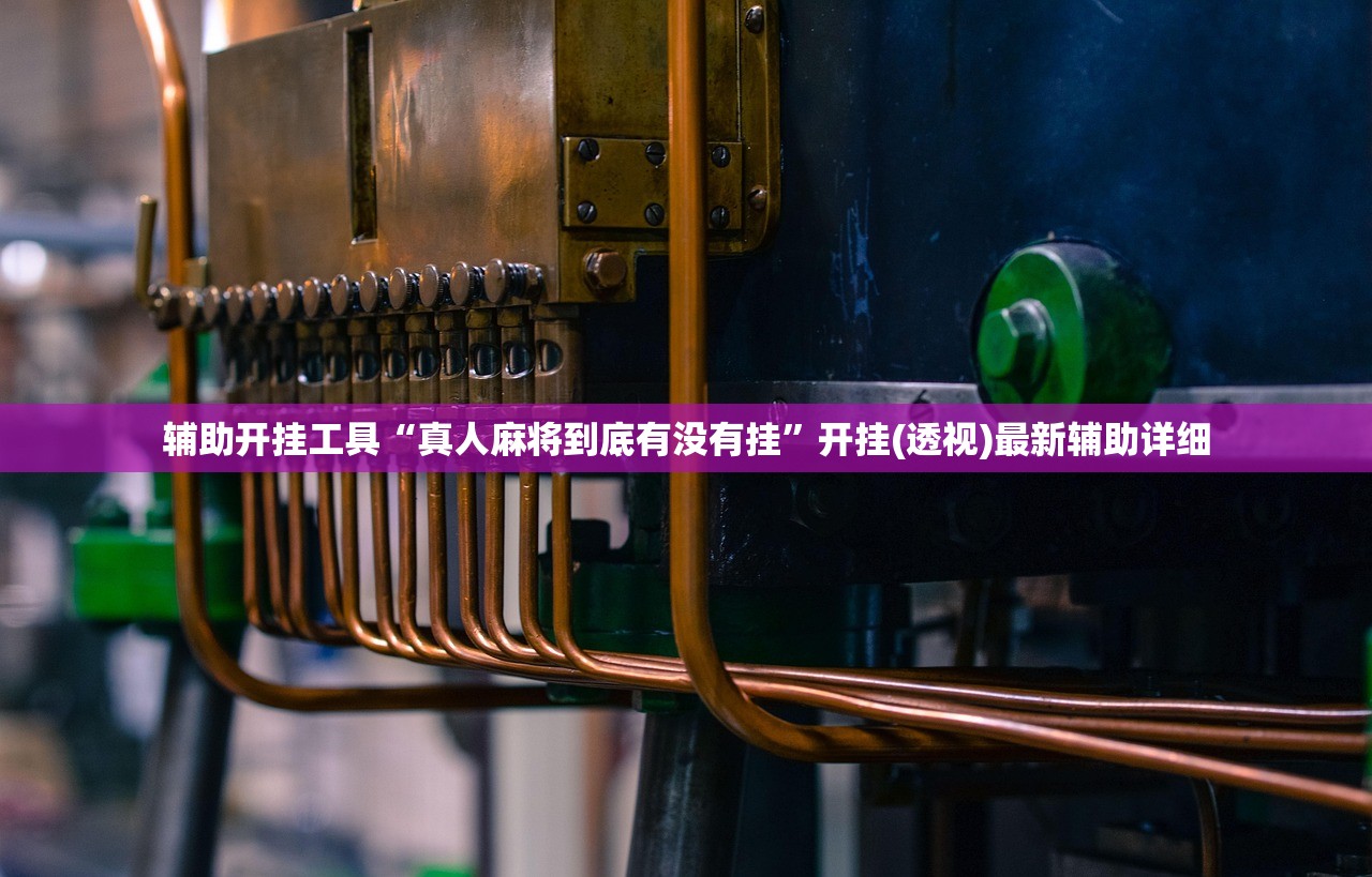 辅助开挂工具“莆仙吹牛有挂吗”开挂(透视)辅助教程