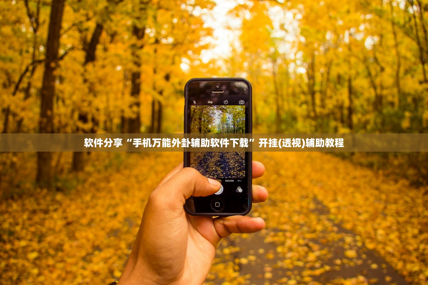 软件分享“手机万能外卦辅助软件下载”开挂(透视)辅助教程