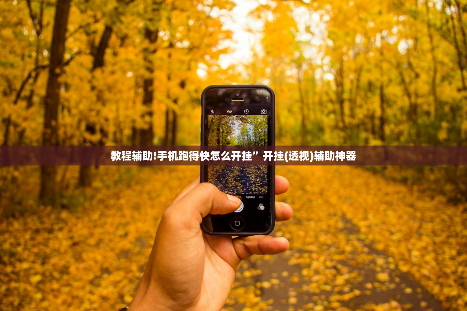 玩家辅助神器：五常填大坑挂怎么弄”开挂(透视)辅助教程