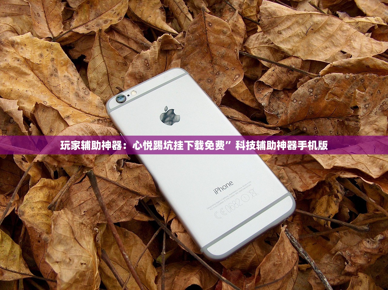 可用版本“手机字牌为什么总是输”开挂(透视)辅助神器