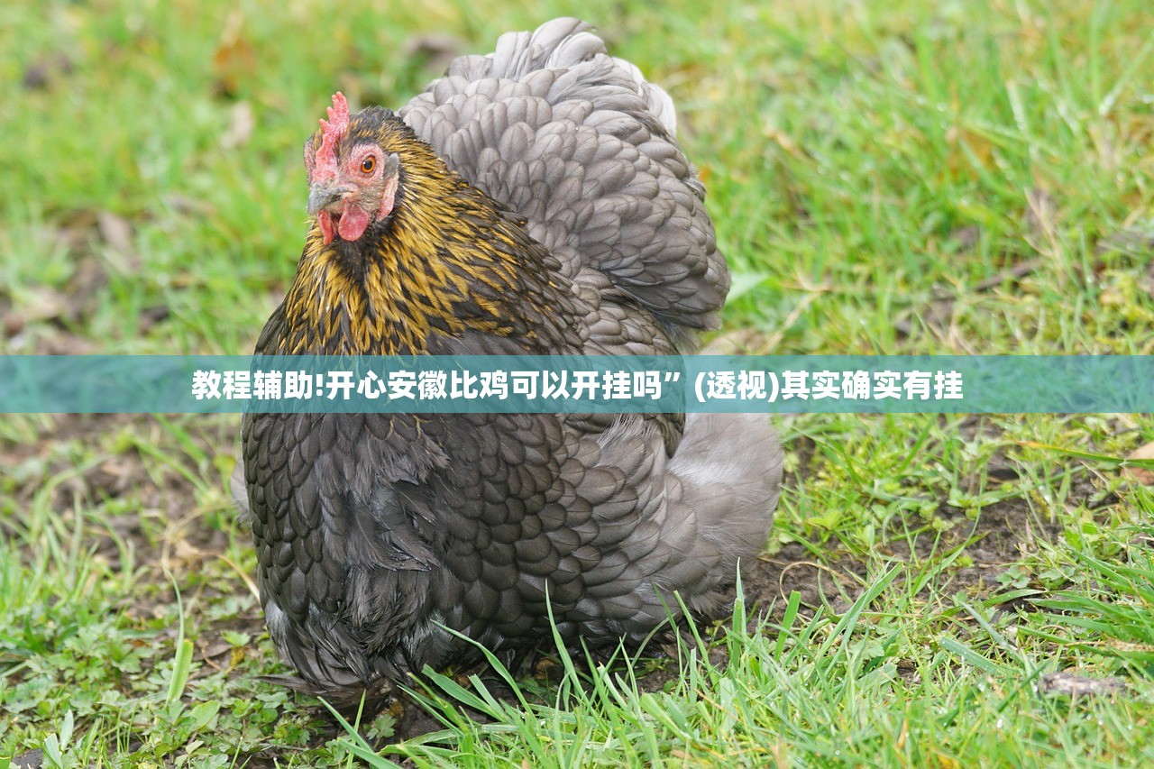 强力推荐“微乐河北麻将小程序万能挂免费版”(透视)其实确实有挂