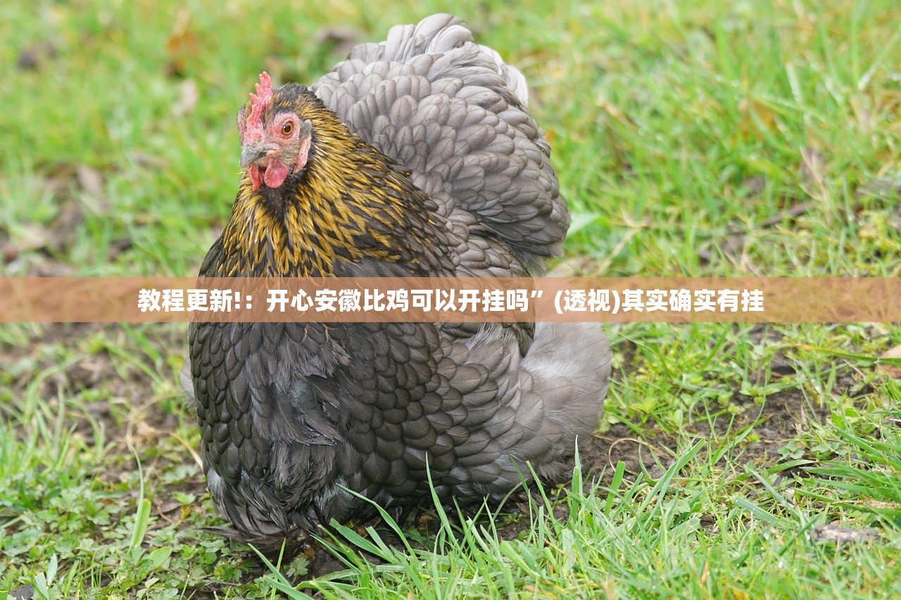教程更新!：开心安徽比鸡可以开挂吗”(透视)其实确实有挂