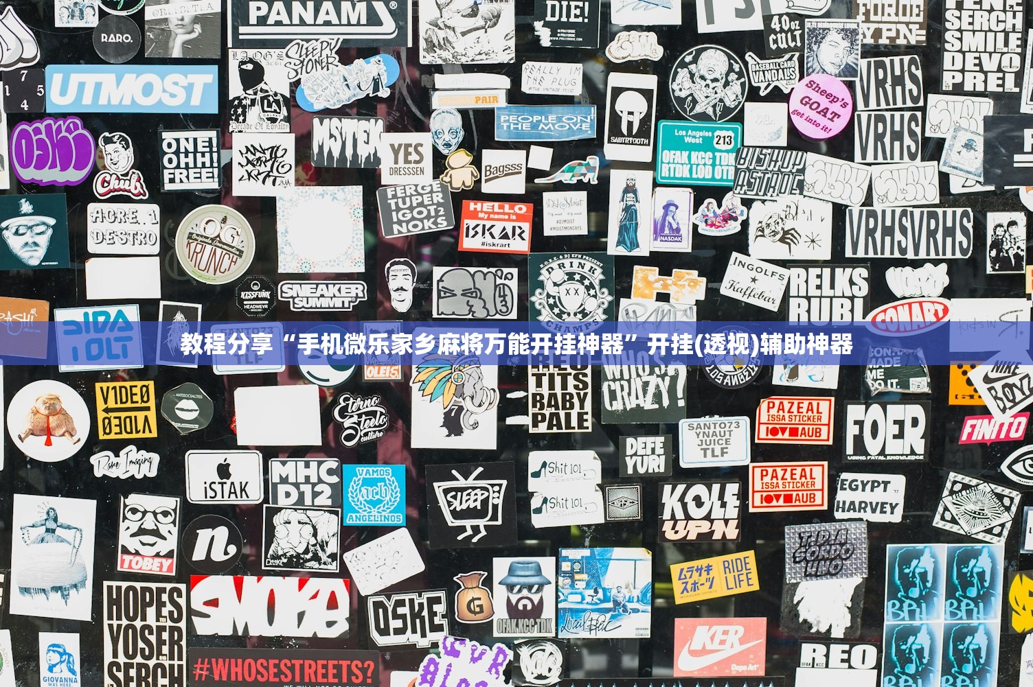 软件分享“手机斗牛万能开挂神器”其实确实有挂