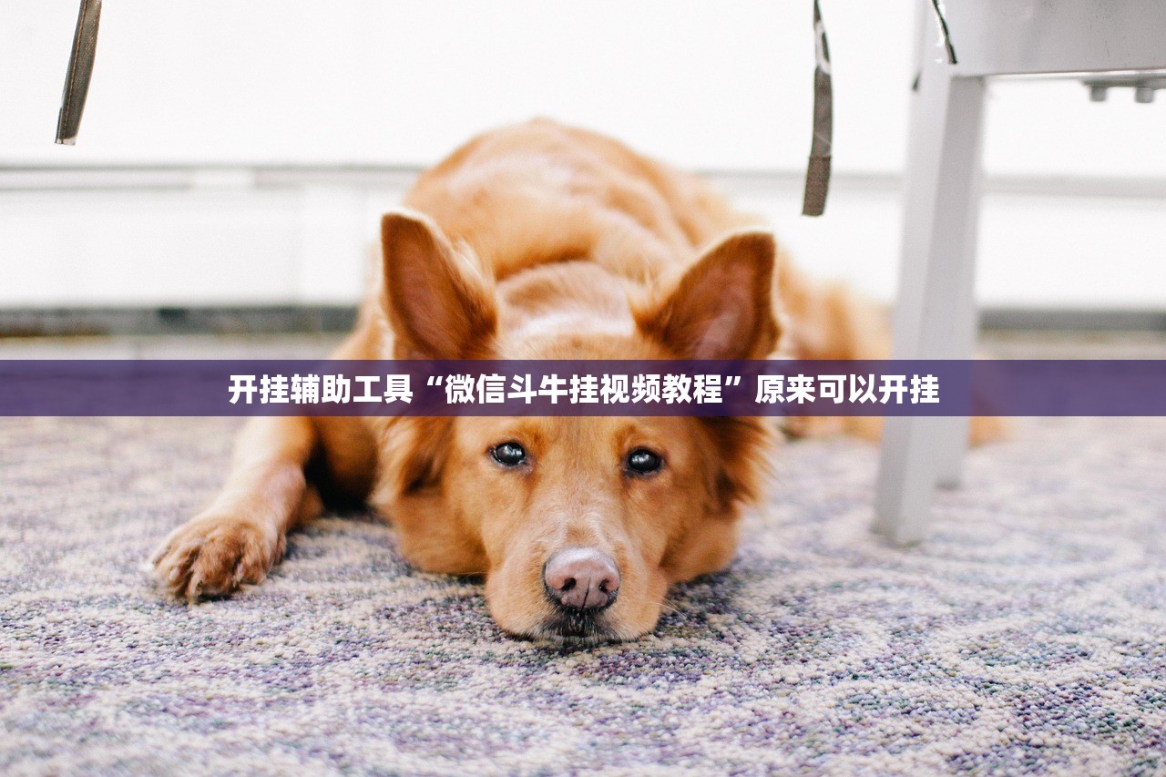 开挂辅助工具“微信斗牛挂视频教程”原来可以开挂