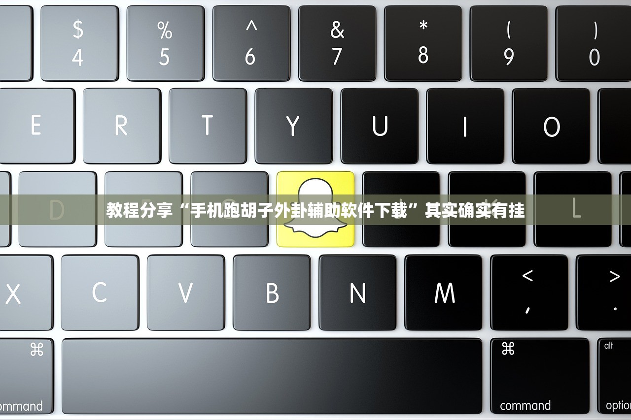 教程分享“手机跑胡子外卦辅助软件下载”其实确实有挂