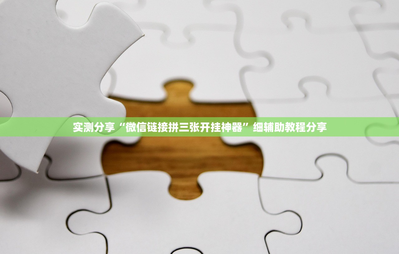 开挂辅助工具“微乐亲友房专用挂”开挂(透视)辅助教程