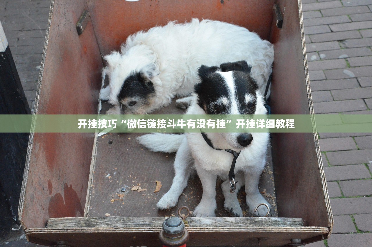 实测辅助“手机微乐麻将小程序必赢神器免费安装”开挂详细教程