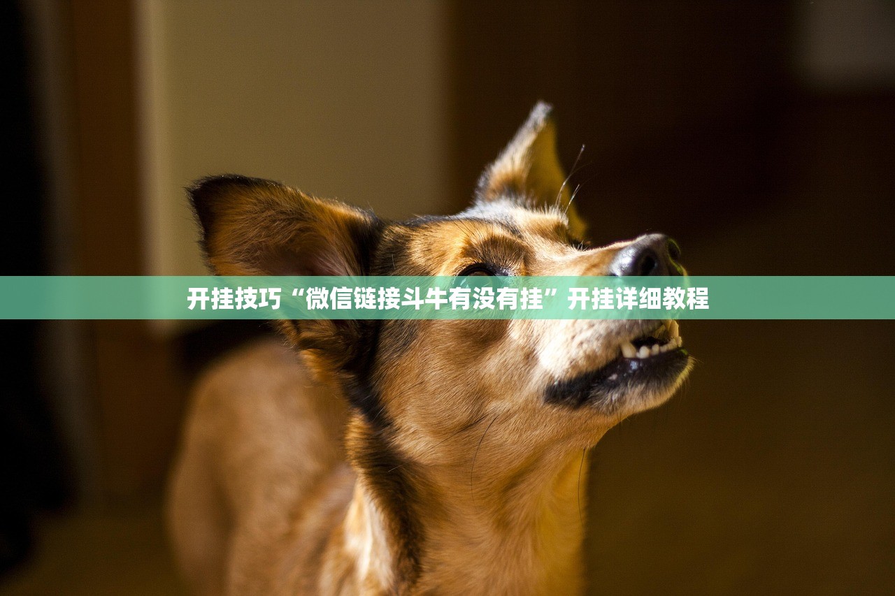 开挂技巧“微信链接斗牛有没有挂”开挂详细教程