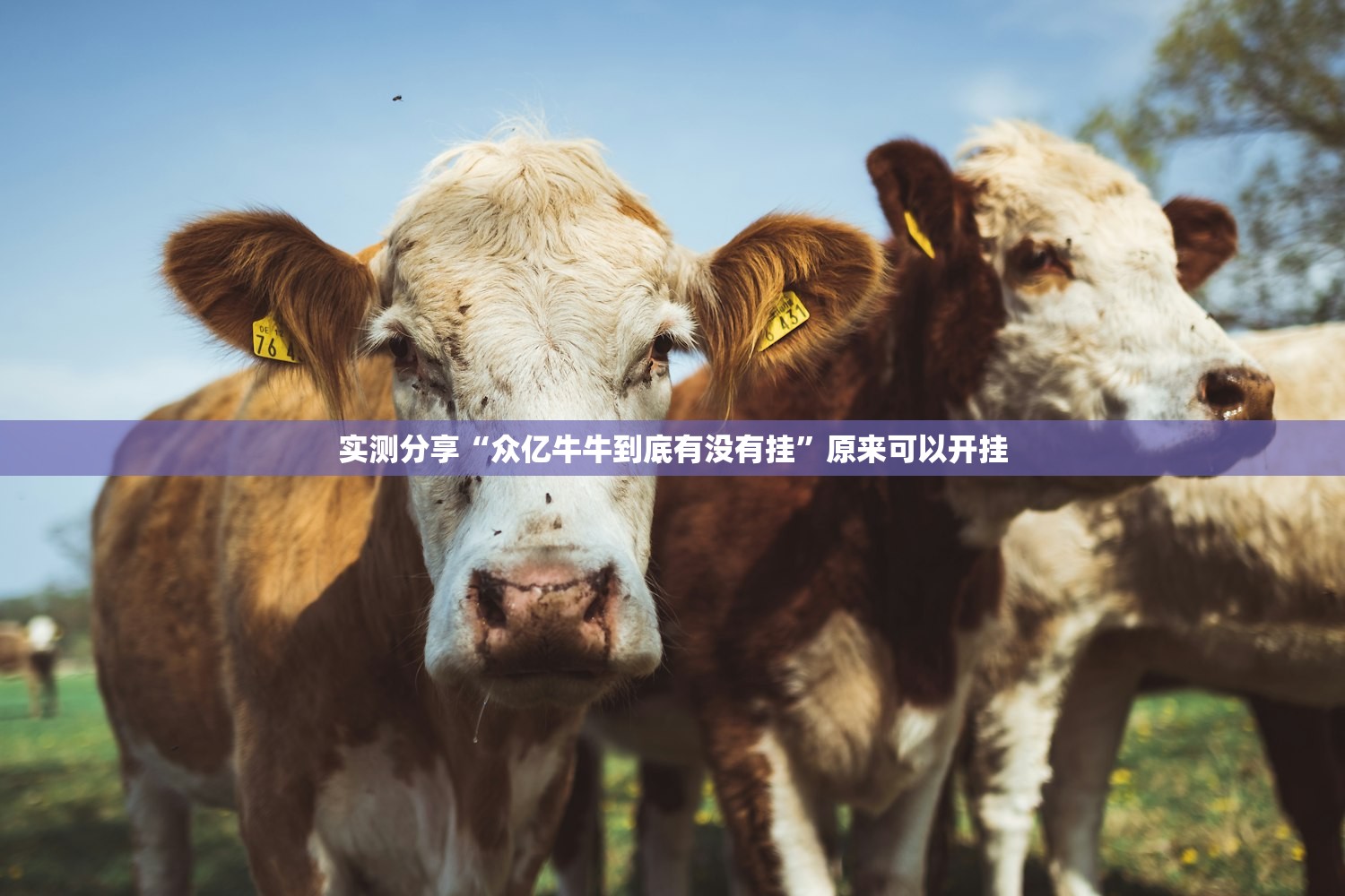 31个省新增46例确诊病例/31个省新增46例确诊病例