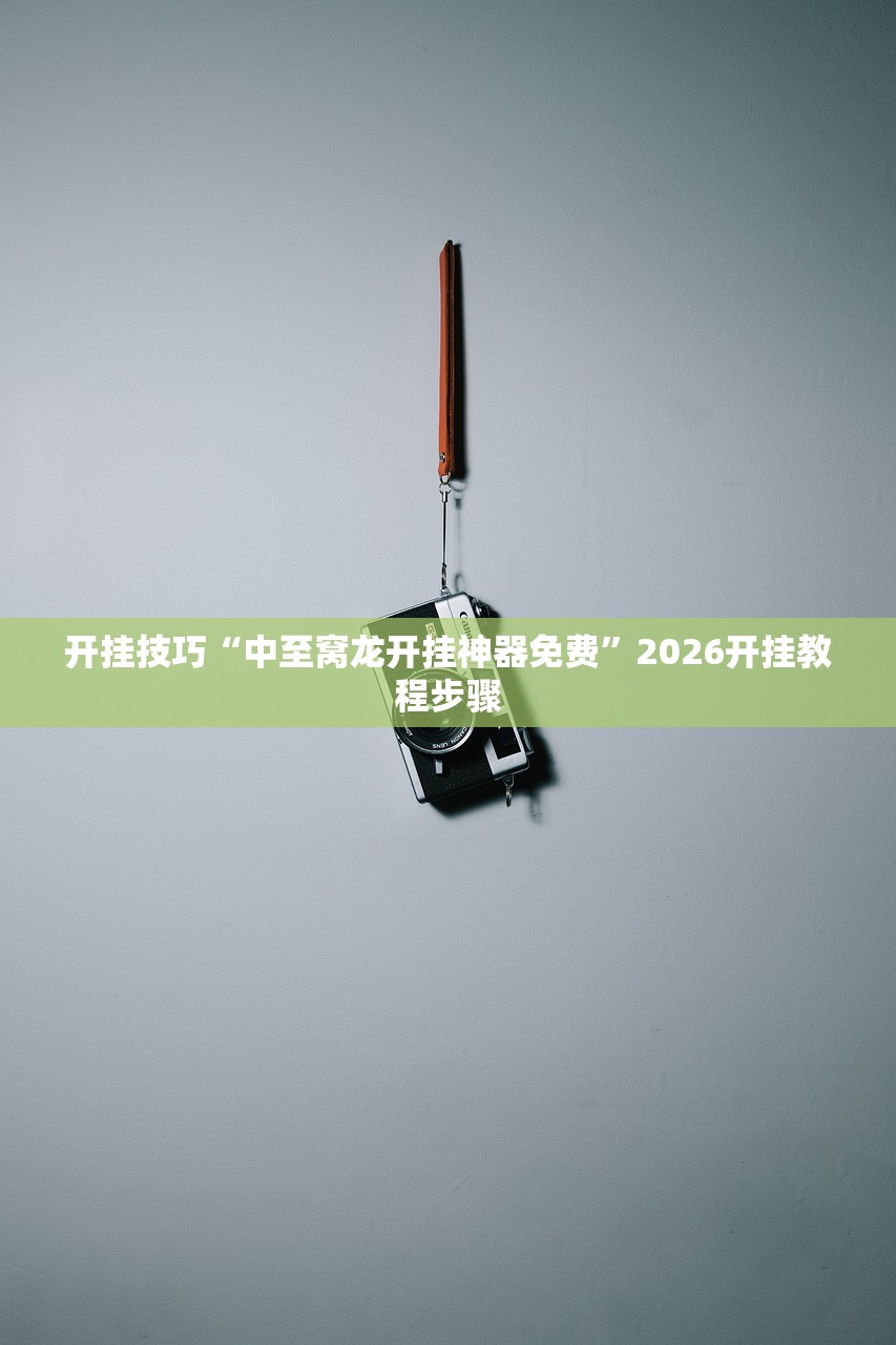 助赢神器“家乡大二透视”细辅助教程分享