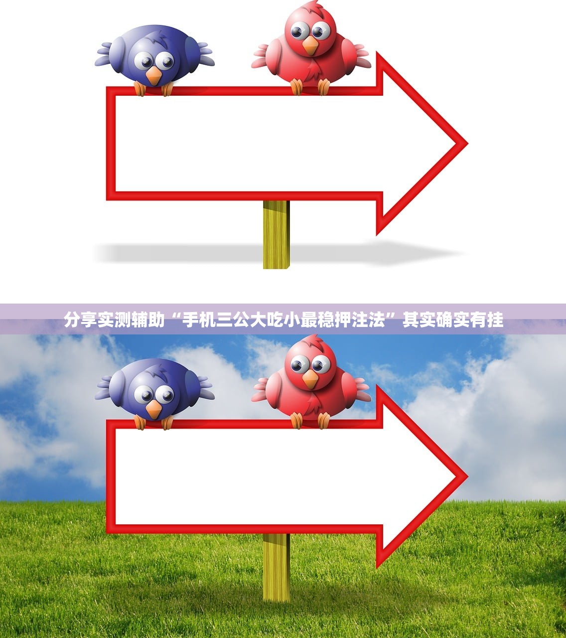 分享实测辅助“手机三公大吃小最稳押注法”其实确实有挂