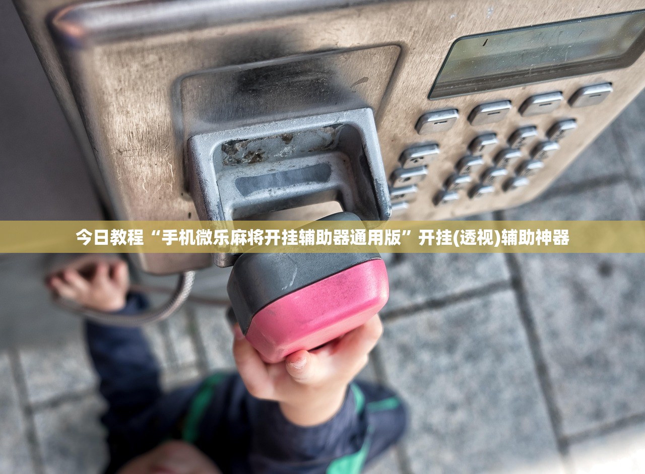 可用版本“微乐陕西挖坑有挂吗”细辅助教程分享