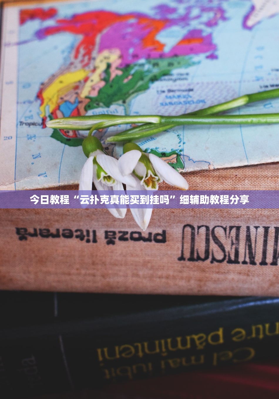 今日教程“云扑克真能买到挂吗”细辅助教程分享