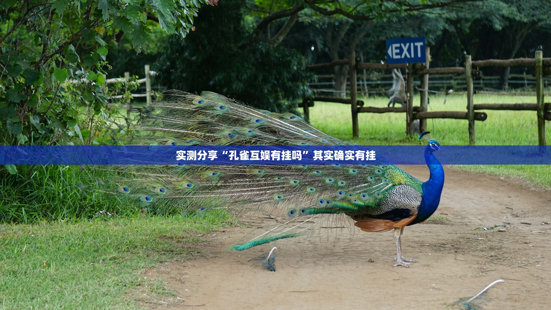 玩家必读“微乐麻将开挂app”开挂(透视)辅助神器